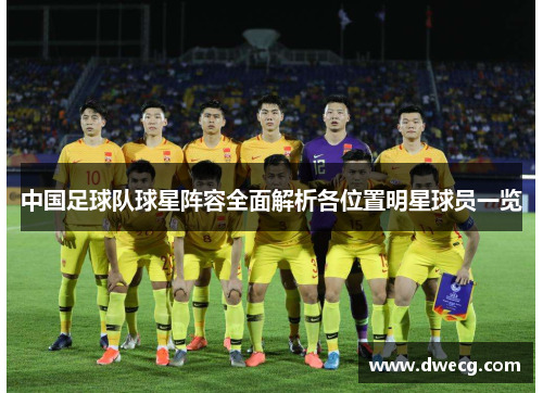 中国足球队球星阵容全面解析各位置明星球员一览