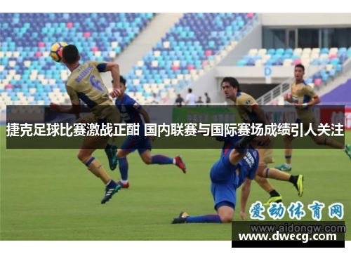 捷克足球比赛激战正酣 国内联赛与国际赛场成绩引人关注